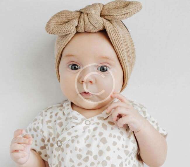 صورة الفئة